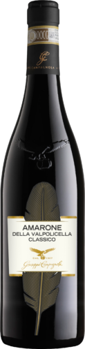 Giuseppe Campagnola Amarone "Feather" 75 cl