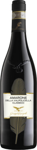 Giuseppe Campagnola Amarone "Feather" 75 cl - Image 2