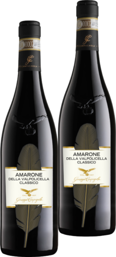 Giuseppe Campagnola Amarone "Feather" 2x75 cl