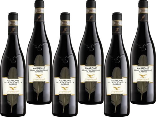 Giuseppe Campagnola Amarone "Feather" 6x75 cl